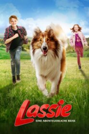 Lassie wróć!