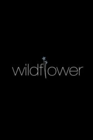 Wildflower