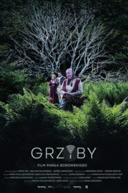 Grzyby