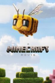 Minecraft: Film